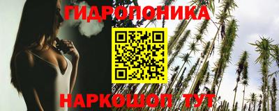 стаф Обнинск