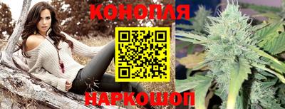 стаф Обнинск