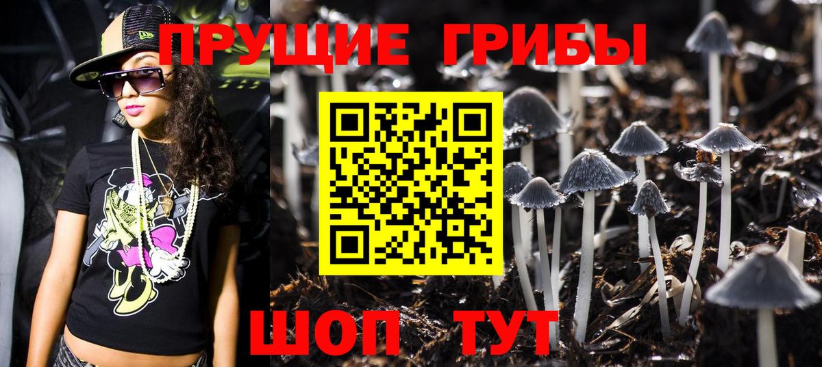 Галлюциногенные грибы GOLDEN TEACHER Северодвинск
