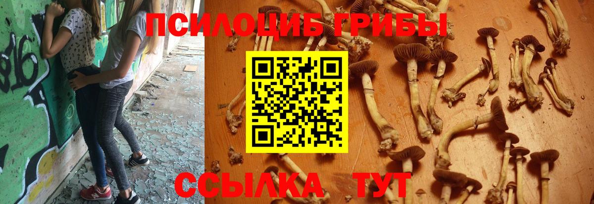 Псилоцибиновые грибы ЛСД Северодвинск
